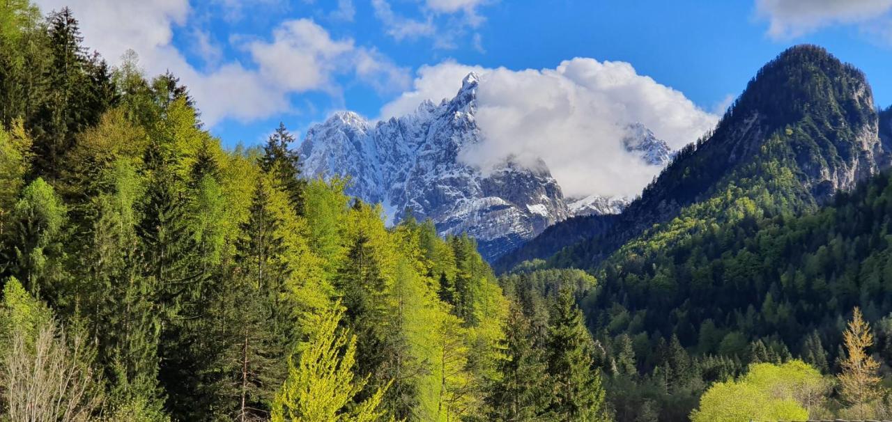 Apartment Alpska Astra Краньска Гора Экстерьер фото